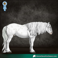 Horse Color:Watercolor Chocolate Palomino Sabino Blanket