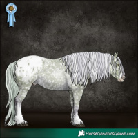 Horse Color:Watercolor Chocolate Palomino Sabino Appaloosa