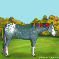 Horse Color:Painted Watercolor Black Sabino Splash Appaloosa 