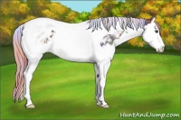 Horse Color:Nacre Liver Chestnut Sabino Splash Tobiano Varnish 