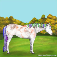Horse Color:Painted Liver Chestnut Sabino Splash Varnish