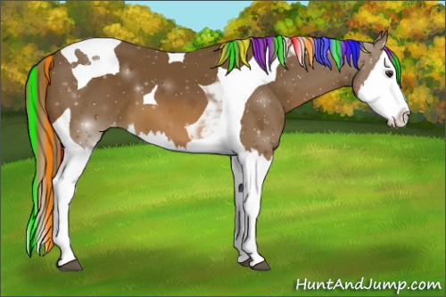 Horse Color:Painted Chestnut Sabino Splash Tobiano Varnish 