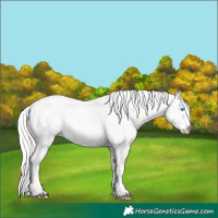 Horse Color:Silver Perlino Dun 