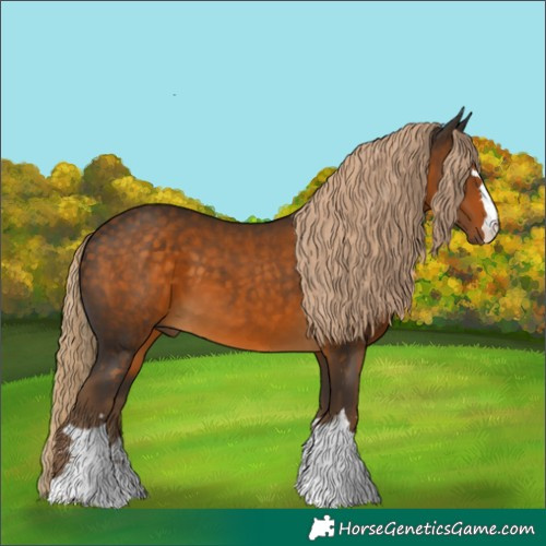 Horse Color:Chocolate Palomino 