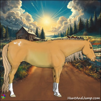 Horse Color:Watercolor Chestnut Appaloosa 