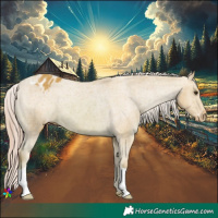 Horse Color:Watercolor Chestnut Appaloosa 