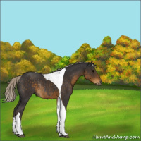 Horse Color:Silver Smoky Black Tobiano Rabicano
