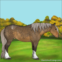 Horse Color:Silver Smoky Grullo Tobiano Appaloosa Rabicano 