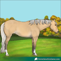 Horse Color:Silver Buckskin Dun 