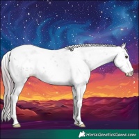 Horse Color:Watercolor Chestnut Sabino 