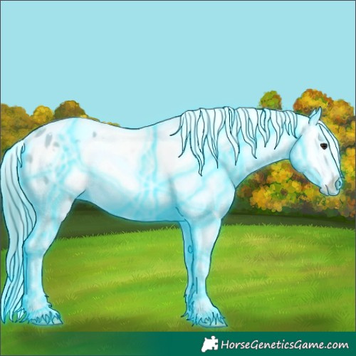 Horse Color:Thunderstruck Watercolor White Spotted Bay Dun Appaloosa 