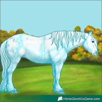 Horse Color:Thunderstruck Watercolor White Spotted Bay Dun Appaloosa 