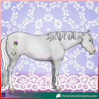 Horse Color:Watercolor Silver Buckskin Pearl Dun 