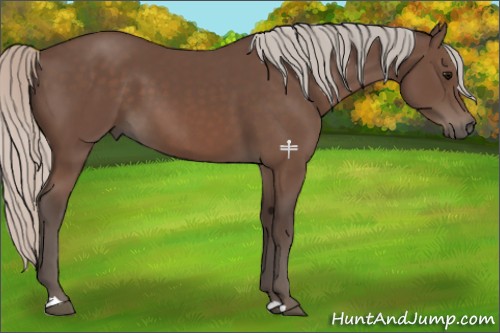 Horse Color:Silver Black 