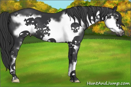 Horse Color:Black Sabino Frame 