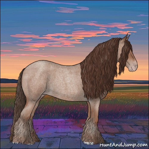 Horse Color:Classic Champagne Roan 