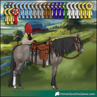 Horse Color:Grullo Sabino 