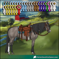 Horse Color:Grullo Sabino 