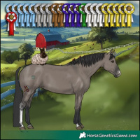 Horse Color:Grullo Sabino 