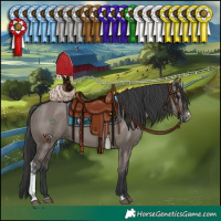 Horse Color:Grullo Sabino 