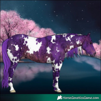 Horse Color:Watercolor White Spotted Brown Ice
