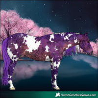 Horse Color:Watercolor White Spotted Brown Ice 