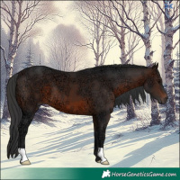 Horse Color:Brown Ice 