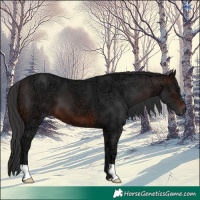 Horse Color:Brown Ice