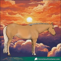Horse Color:Palomino 