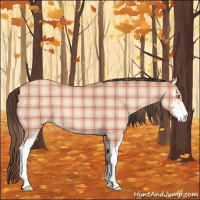 Horse Color:Plaid  Amber Champagne Sabino 