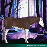 Horse Color:Painted Silver Brown Splash 