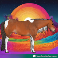 Horse Color:Bay Tobiano 