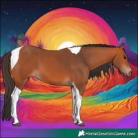 Horse Color:Bay Tobiano 