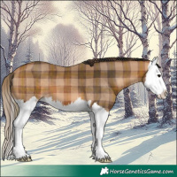 Horse Color:Plaid Bay Splash