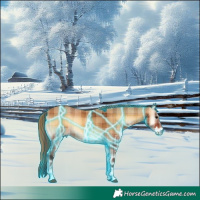 Horse Color:Thunderstruck Plaid  Bay Onyx Sabino 