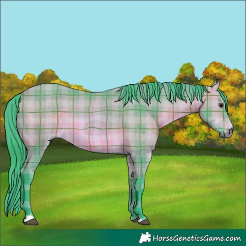 Horse Color:Watercolor Plaid  Bay 