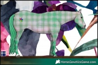 Horse Color:Watercolor Plaid  Bay 