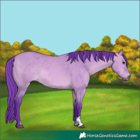 Horse Color:Watercolor Bay Dun Sabino 
