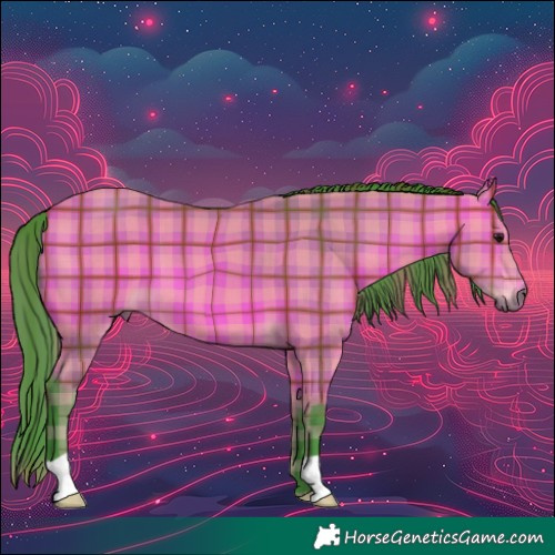 Horse Color:Watercolor Plaid  Bay 