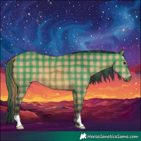 Horse Color:Plaid  Bay 