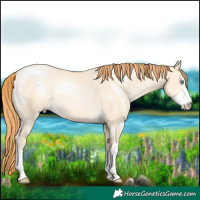 Horse Color:Buckskin Pearl Dun Sabino 