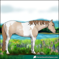 Horse Color:Grullo Pearl Tobiano Rabicano 