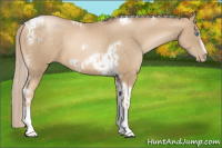 Horse Color:Chocolate Palomino Pearl Tobiano Frame  and Chocolate Palomino Pearl Tobiano Frame 