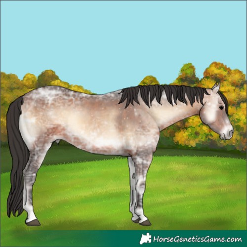Horse Color:Brown Ice Onyx 