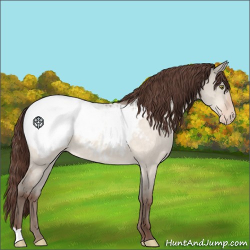 Horse Color:Sable Champagne Dun Appaloosa 