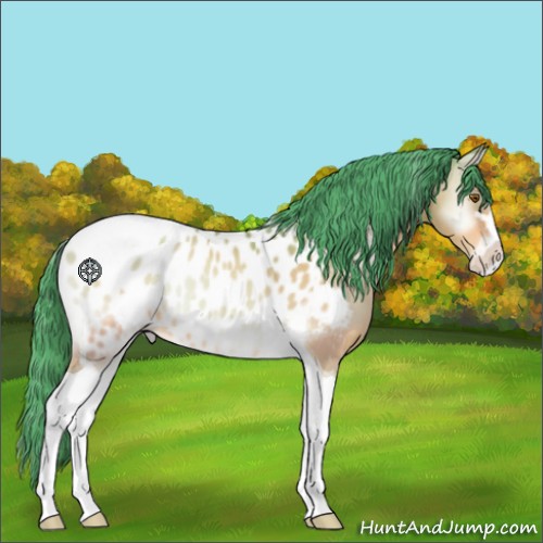 Horse Color:Watercolor Amber Champagne Onyx Sabino Tobiano Appaloosa 