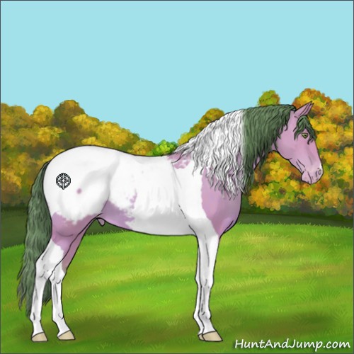 Horse Color:Watercolor Sable Champagne Tobiano Appaloosa 