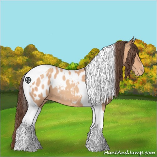 Horse Color:Amber Champagne Tobiano Appaloosa 