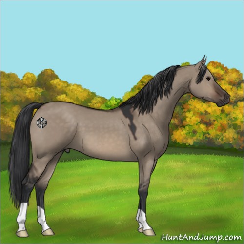 Horse Color:Brown Dun 