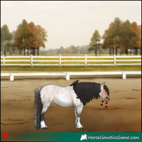 Horse Color:White Spotted Bay Roan Dun